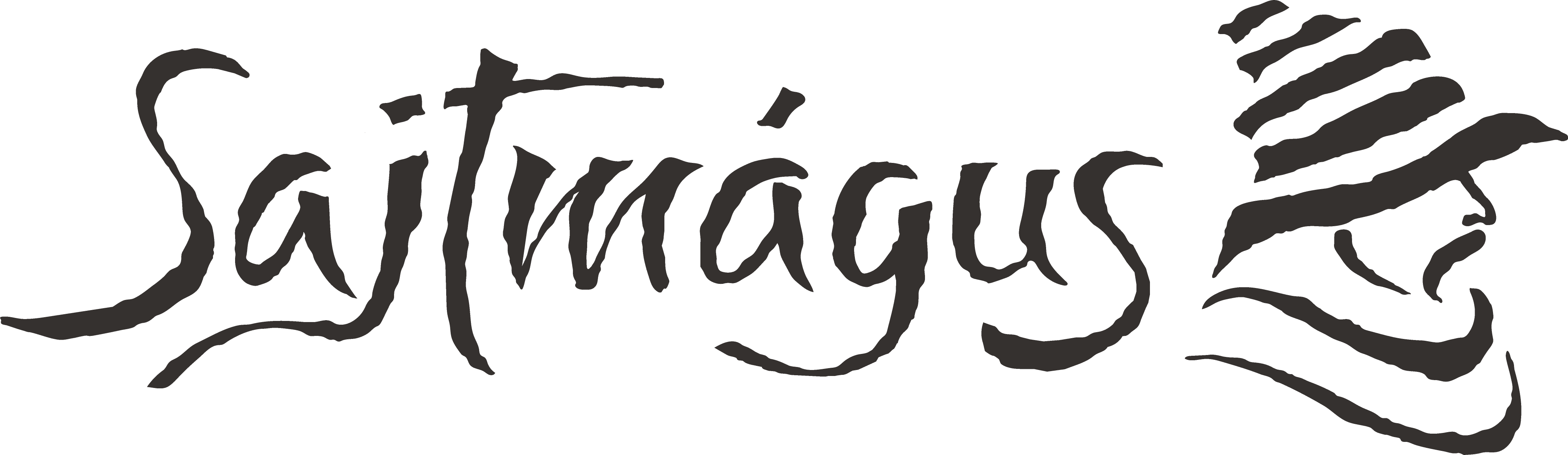 Sajtmágus